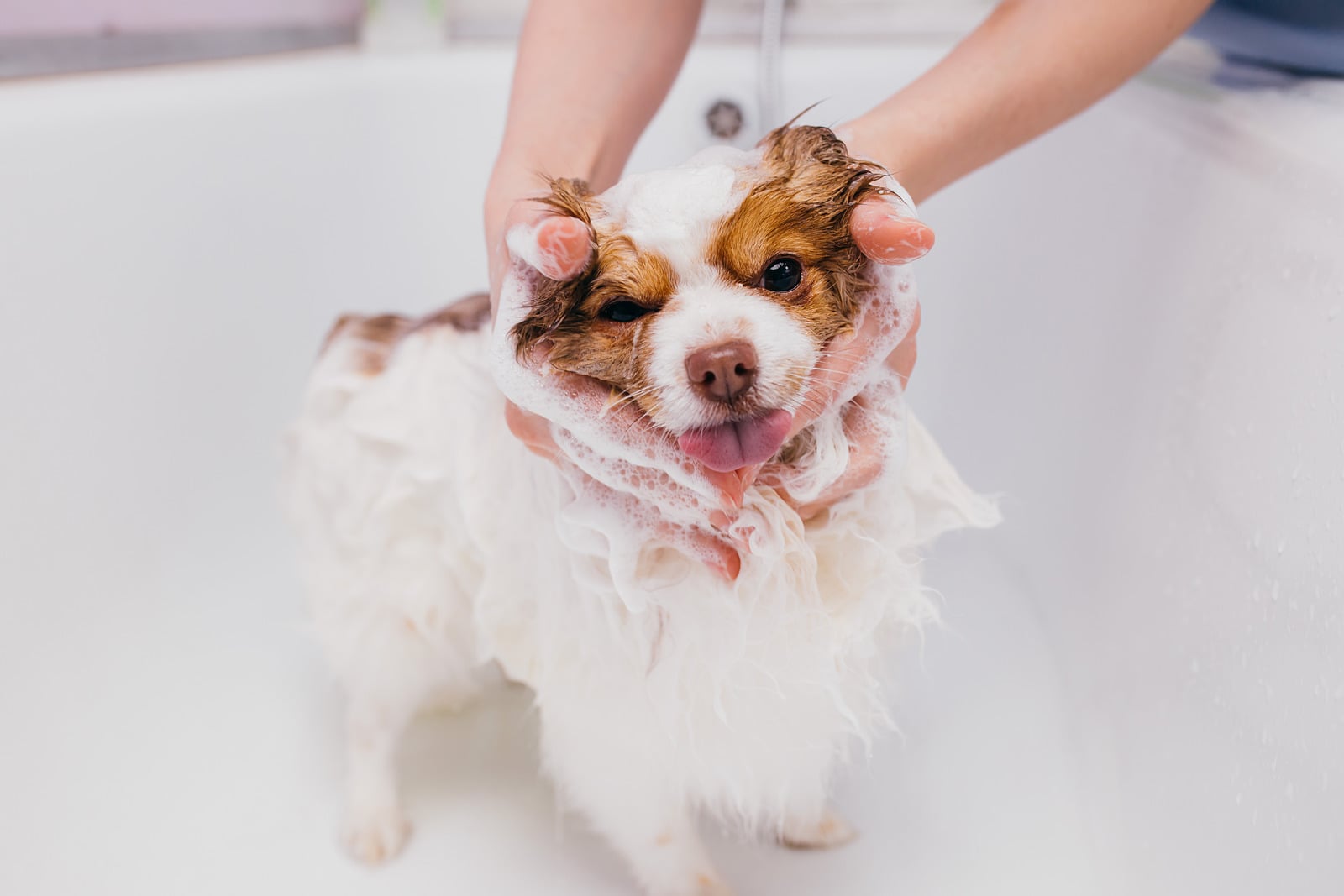 Bath and tidy